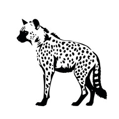 a hyena standing on blank space vector silhouette, isolated white