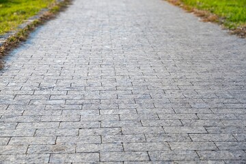 Gray Cobblestone Path in Park, Outdoor Walkway for Strolling