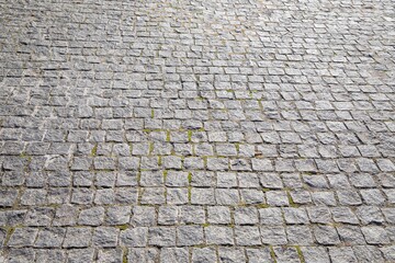 Gray Cobblestone Path in Park, Outdoor Walkway for Strolling