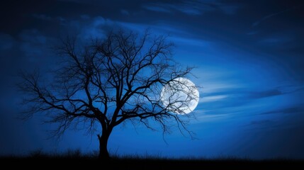 tree blue full moon