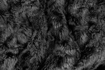 Black wool texture background. grey plush. mohair. fur