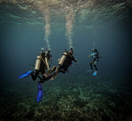 Malapascua, Philippines, is a top dive spot known for thresher sharks, vibrant coral reefs, and...