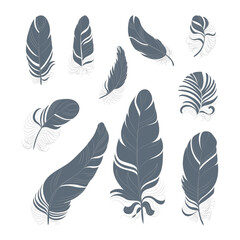 Set of silhouette isolated vector feathers