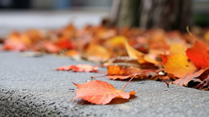 vibrant fall leaf corner