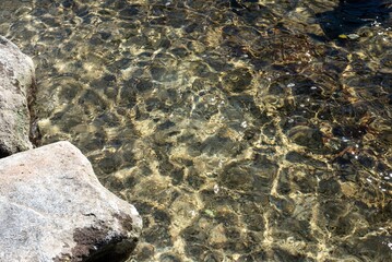An unparalleled view of a crystal-clear lake in the Valley of Five Ponds, Tatra Mountains, Poland, reveals stunning alpine beauty, surrounded by rugged peaks and lush greenery