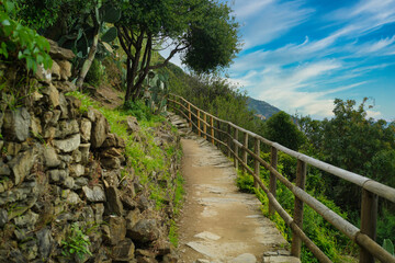 Trail from Corniglia to Vernazza, Cinque Terre.