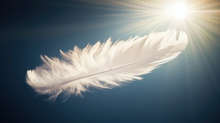 Obraz premium sunlight white feather