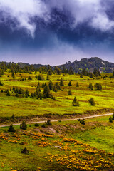 Photo of the Col de Pailheres located in the Ariège department, in the French Pyrenees. This pass culminates at an altitude of 2,001 meters above the town of Mijanès in the Pyrenees mountains.