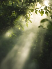 Fototapeta premium A misty, ethereal forest scene with sunbeams shining through the fog and trees. A serene and mystical atmosphere.