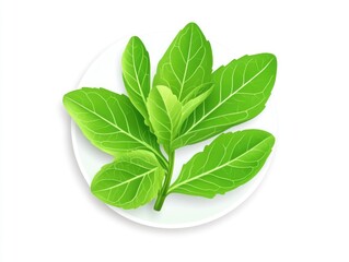 Obraz premium Green leaves of leafy vegetable, possibly a type of kale or other leafy green. Close-up shot highlighting freshness and vibrant green color.