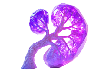 Low-poly kidney model with glowing purple geometric veins and arteries, isolated on a white backdrop