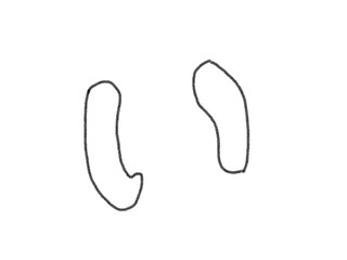 hiragana in Japan text