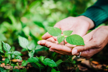 Young Asian woman sits under a shady tree in a park, enjoying her free time in nature. She breathes deeply, refreshing herself, surrounded by leaves and the tranquility of greenery.