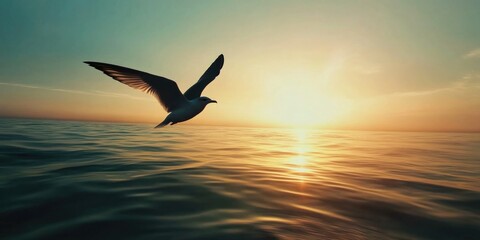 Fototapeta premium Bird Flying Over Ocean Sunset