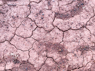 Picture of dry soil in concept naturel and environmental for texture and background. 