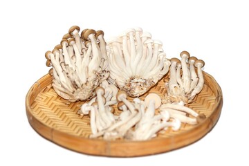 Put the mushrooms on the wooden bamboo plate on white background with isolated concept.