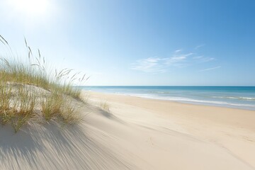 A beach with a grassy dune and a clear blue sky