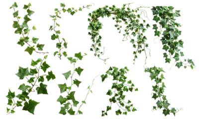 Certainly! Could you provide me with the sentence and tags? I'll generate an easy-to-understand name for the image