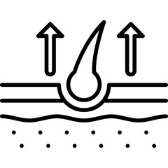 Hair Growth Icon