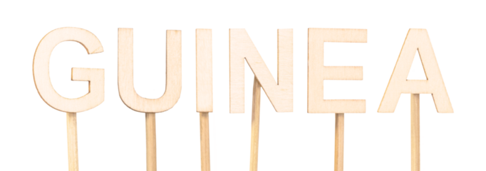 Decoration with wooden letters to represent the name of Guinea in craft way.
