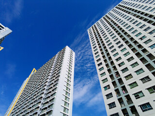 파란하늘과 고층빌딩의 조화