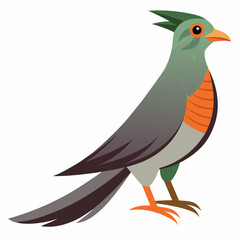 illustration of a cartoon bird