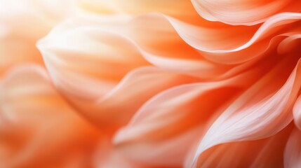 Obraz premium An abstract view of peach-colored flower petals folding and flowing in soft, gentle waves, evoking a sense of natural grace and delicate artistic beauty.