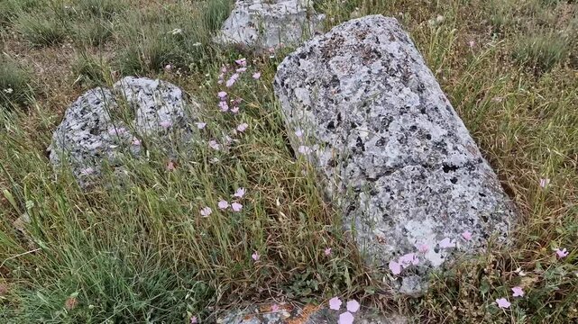 Columns ruins of ancient Greek civilization at Epidaurus, Peloponnese, Greece
