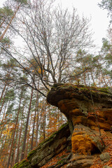 Sandstone Pillars and Boulders in Autumn Forest, Niekłań, Poland - Captivating Landscape