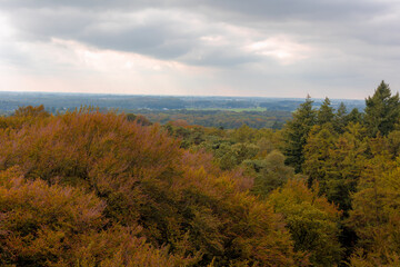 Beginning of Autumn landscape, Above view of forest with green, yellow and orange leaves on the tree under cloudy sky, Countryside wood in Dutch province of Utrecht, Netherlands, Natural background.