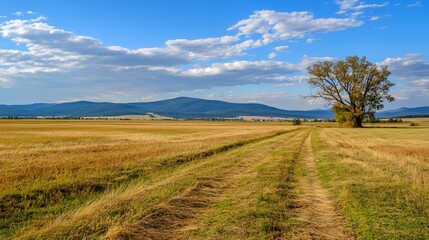 Naklejka premium Serene Countryside Landscape vs. Chaotic Urban Environment
