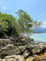 Ilha Grande- RJ