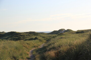 Am Strand in Dänemark