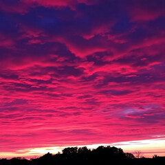 Fototapeta premium red sunset sky