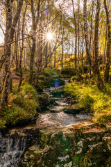 Corrieshalloch Gorge and the Falls of Measach Scotland