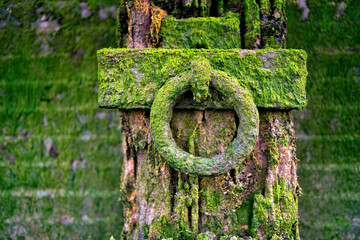London, UK, City, Green, circle, docks, schips