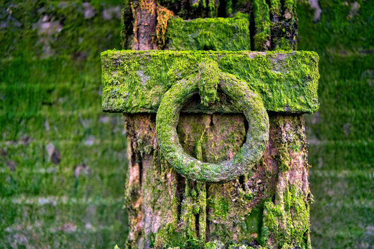 London, UK, City, Green, circle, docks, schips