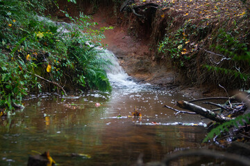 The Fall and Creek 02
