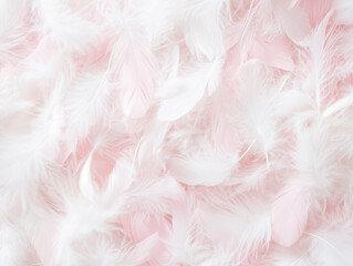 A soft feather pattern background with delicate feathers in shades of white and pastel pink.
