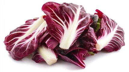 Obraz premium Red radicchio salad isolated on a white background