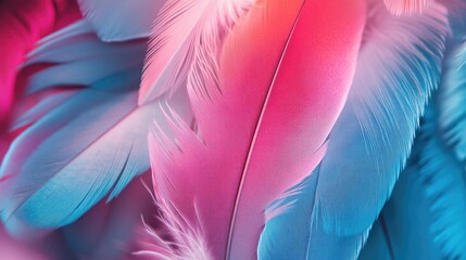 Vibrant multicolored feathers in bright pink and blue neon hues Close up view of soft colorful feathers Minimalist abstract design featuring ample space for text