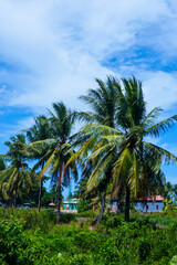 Fototapeta premium The view of the mosque and its dome can be seen from the front, creating an amazing view