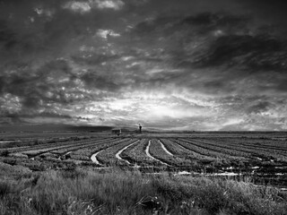 Fototapeta premium Sunset around the Albufera of Valencia (Spain)