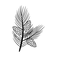 Pine branch with cones. Vector element in sketch style for the design of holiday card, pattern, banner.