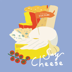 National Cheese Lovers Day. Various types of vector cheese set. Curd product for design, recipe book, advertising or restaurant menu. Brie cheese, dorblu, cheddar, parmesan, camembert