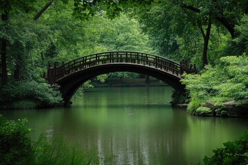 Fototapeta premium Wooden Bridge Arched Over a Still Pond in a Lush Green Forest