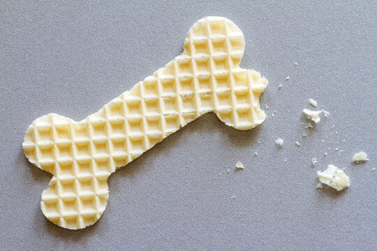 Bone-shaped waffle, fragile, brittle bones, osteoporosis, creative concept
