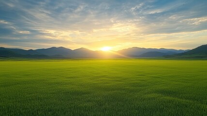 Obraz premium Serene Valley with Bright Rainbow Over Green Fields