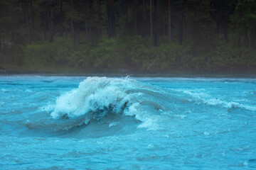 Summer landscape with river wave with turquoise water and white foam on the Katun River in the Altai Republic, Russia