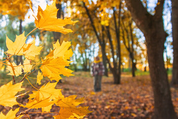 Senior woman in autumn park. Selective focus.